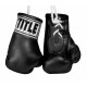 TITLE 3.5” MINI BOXING GLOVES